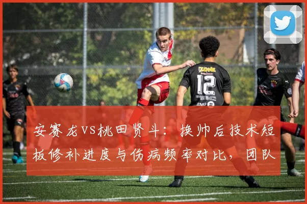安赛龙vs桃田贤斗：换帅后技术短板修补进度与伤病频率对比，团队稳定性成关键变量