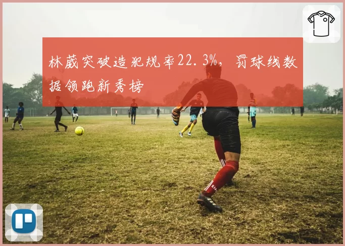 林葳突破造犯规率22.3%，罚球线数据领跑新秀榜