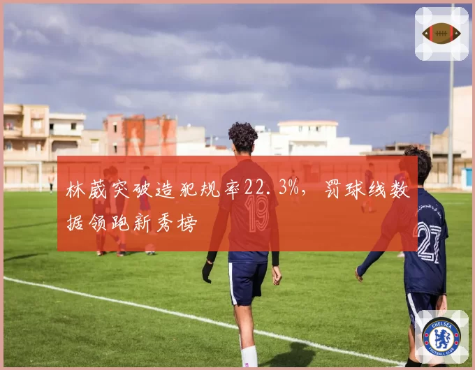 林葳突破造犯规率22.3%，罚球线数据领跑新秀榜